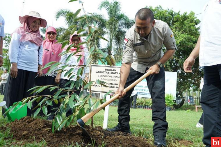 Wagub Audy Tanam 1.000 Bibit Pohon Bersama Ibu Negara Iriana Joko Widodo dan Wury Ma'aruf...