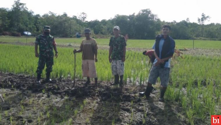 Warga Cekcok Masalah Lahan, Babinsa Koramil 03 Sipora Turun Tangan