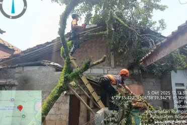 Badan Nasional Penanggulangan Bencana (BNPB) merangkum...