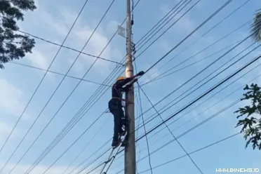 Petugas PLN Icon Plus sedang bekerja lakukan pemeliharaan...