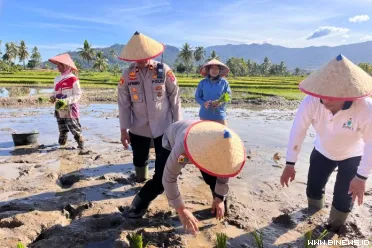 Dalam rangka mendukung program Swasembada Pangan Nasional...