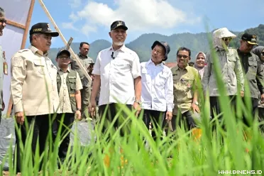 Capaian realisasi rehabilitasi lahan pertanian terdampak...