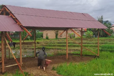 Pendekatan Adat Buktikan Efektivitas dalam Penanganan...