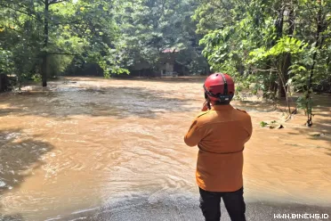 Badan Nasional Penanggulangan Bencana (BNPB) menghimpun...