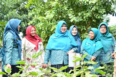 Tim Penggerak Pemberdayaan Kesejahteraan Keluarga (TP-PKK)...
